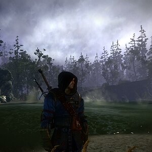 Witcher in the Mist