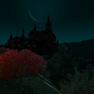 New Moon over Palace