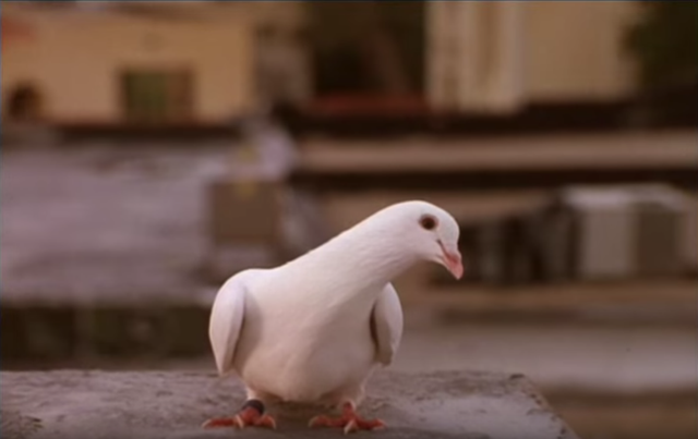 imagen.png