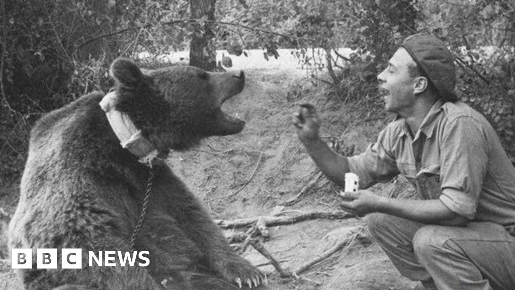 www.bbc.com