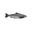 schiwxet.itch.io