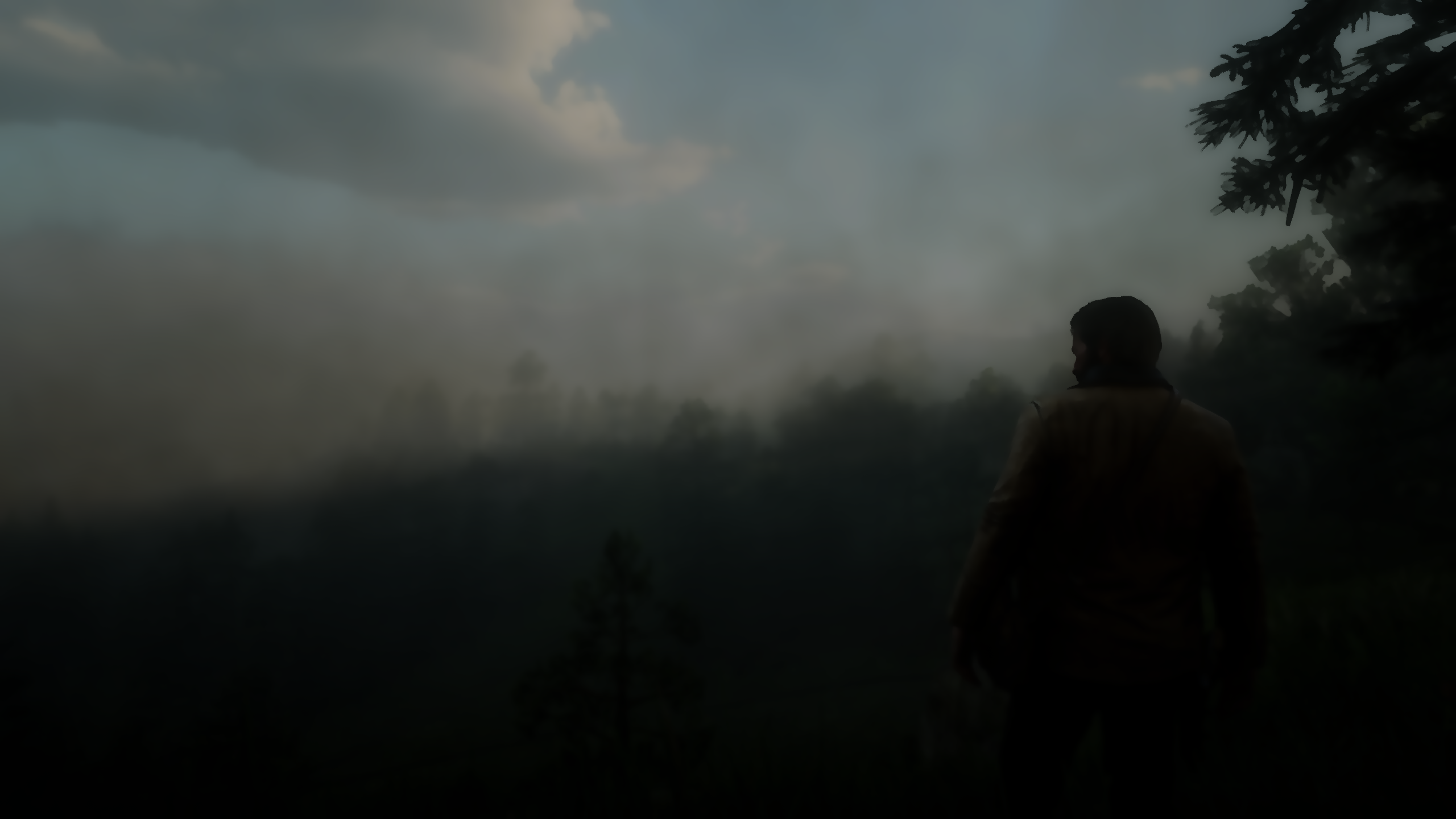 Red-Dead-Redemption-2-Screenshot-2020-11-25-22-03-56-77.png