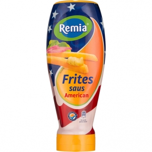 remia-american-fritessaus-topdown.jpg